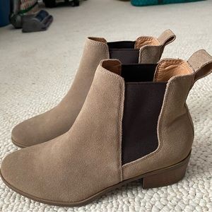 BRAND NEW Steve Madden Chelsea Boot